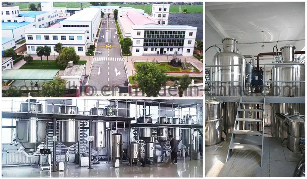 Sonwu Supply Extract Rotundine Powder Extract Tetrahydropalmatine