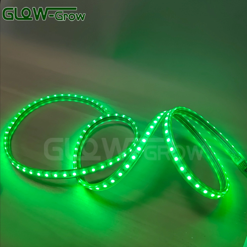 IP65 Flexible Color Changing High Voltage PVC Rope Light RGB LED Strip Light with IC Design

Lumière de corde en PVC haute tension flexible IP65 changeant de couleur avec bande LED RGB à design IC.