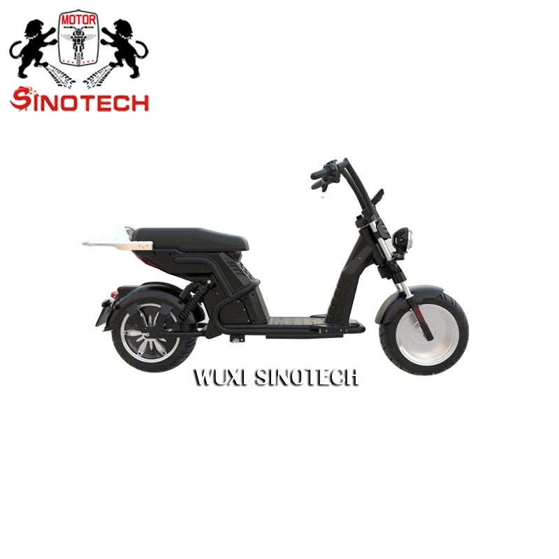 Made in China Moto Electrica 1000W Electric Dirt Bike