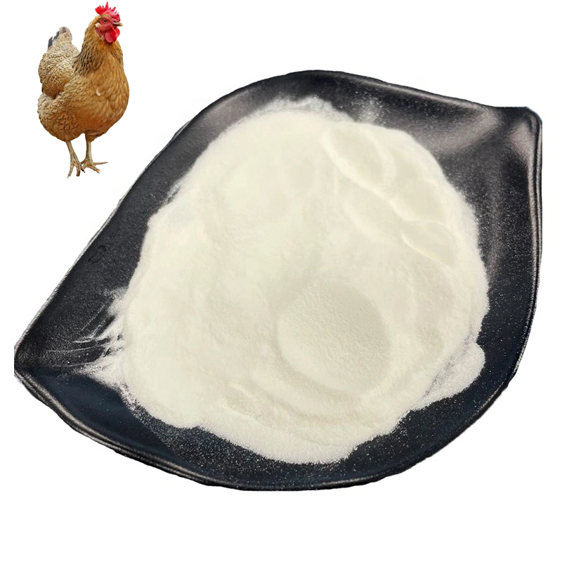 Best Price Chicken Cartilage Undenatured Collagen Type II