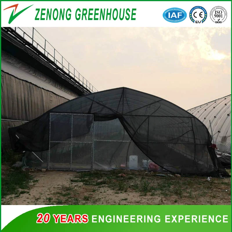 Effective Greenhouse Outside Shading Screen for Lowing The Temperature Not Sunburn The Crops