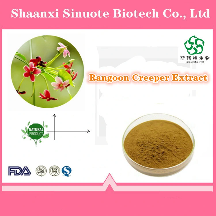 Factory Supply Water Soluble Rangoon Creeper Extract Powder