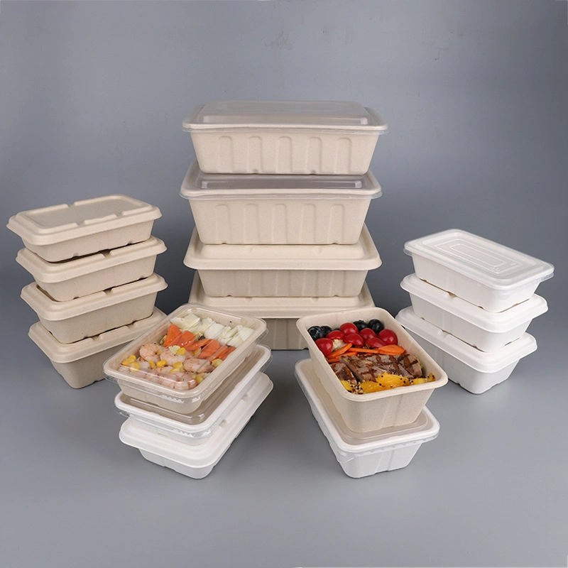 فرن ميكروويف سكر من ألياف Cane Bagasse Takeway الغذاء الغذاء الغذاء الغذاء الغذاء الغذاء الغذاء الغذاء لا يمكن التخلص منه تحضير وجبات الصندوق