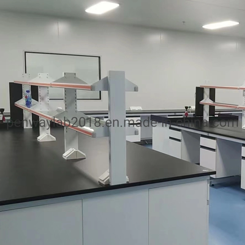 Educational Lab Products School Lab Bench Lab Furniture