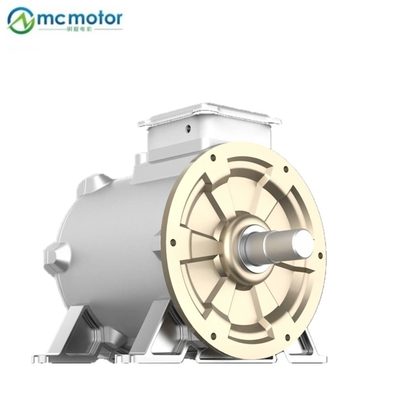 China Wholesale/Supplier AC 90kw de estanqueidad IP67 Motor Magnético permanente