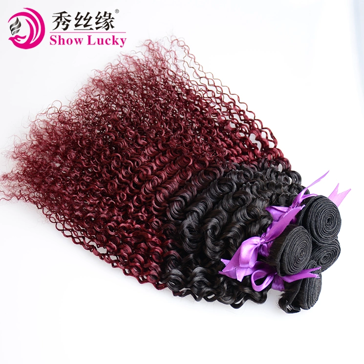 High Quality Brazilian 9A Grade Ombre 1b/99j Red Unprocessed 100% Virgin Brazil Kinky Curly Human Hair Weave