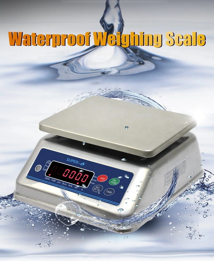 IP68 30kg Dual LED Display 304 Stainless Steel Digital Waterproof Weigh Scale for Seafood Market