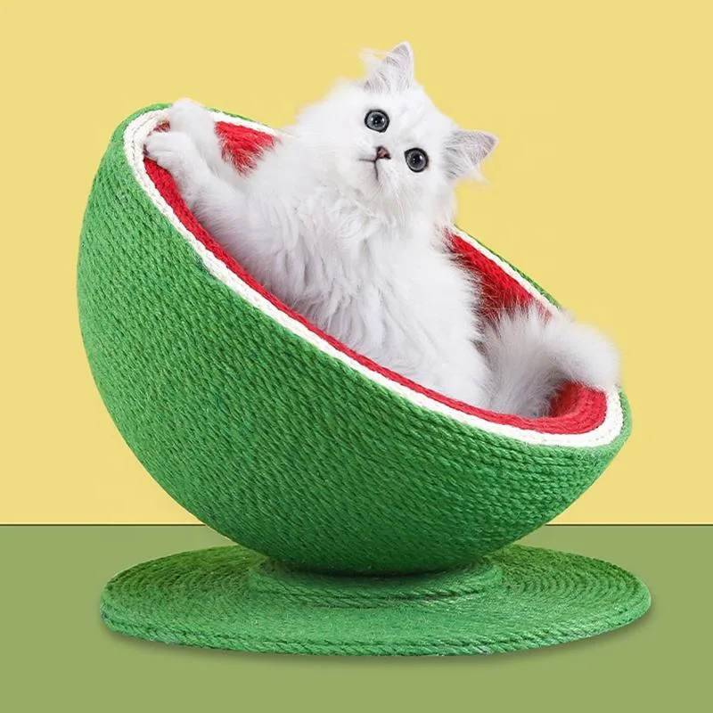 Raspador Designer moderno Moda bonito DIY Watermelon escalada Cat Tree Torre da Casa