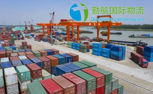 Cheap Food Shipping Agent Ocean Freight Sea Shipping From China to The USA UK France