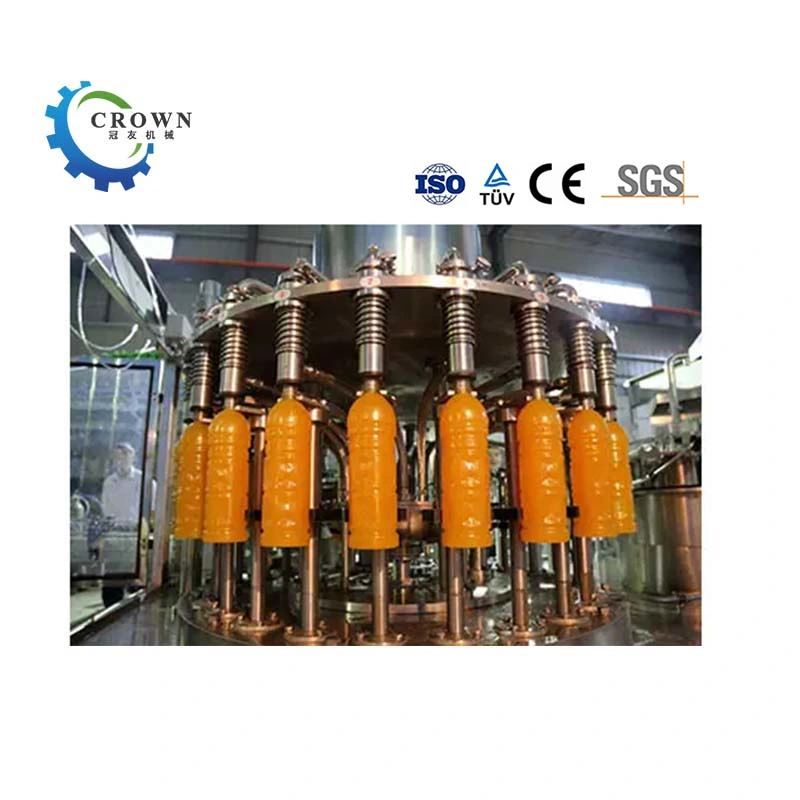 Fruit Vegetable Juicer Production Line Apple Juice Processing Machinery / Fruit Juice Line