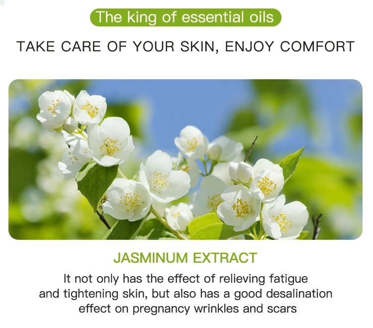 Wholesale/Supplier Natural Jasmine Oils Bulk 10ml for Skin Firming Soothing Body Skin Care Massage SPA Essential Oil