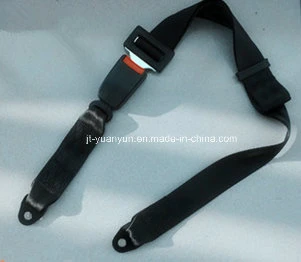 Universal 2-Point Simple Seat Belt