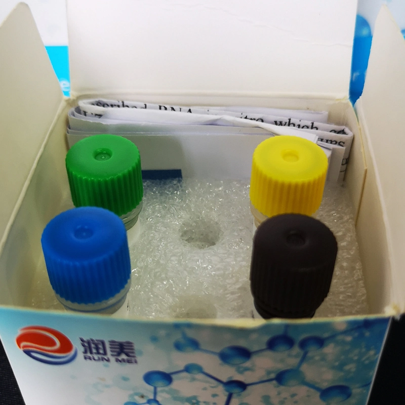 PCR Nucleic Acid Detection Kit with Fluorescent Rt PCR Test Method