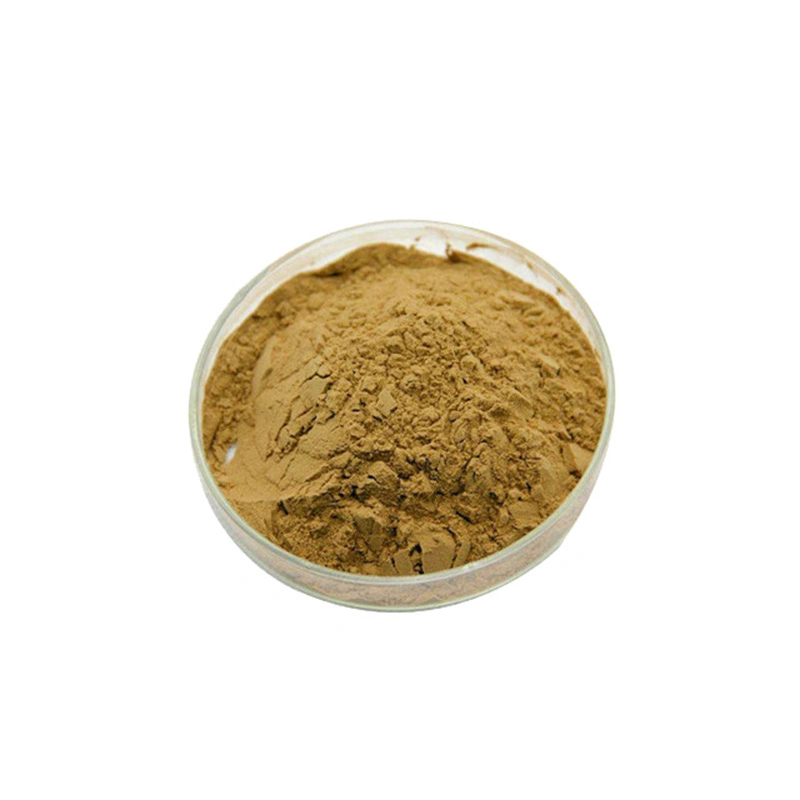 100% Natural Healthy Lemon Grass Extract Powder Lemon Grass Powder