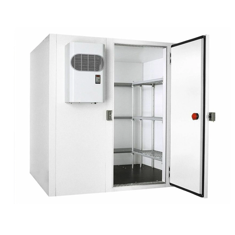 Froid industriel en acier inoxydable Coldroom Chambres réfrigérateur Coldroom Cold Storage