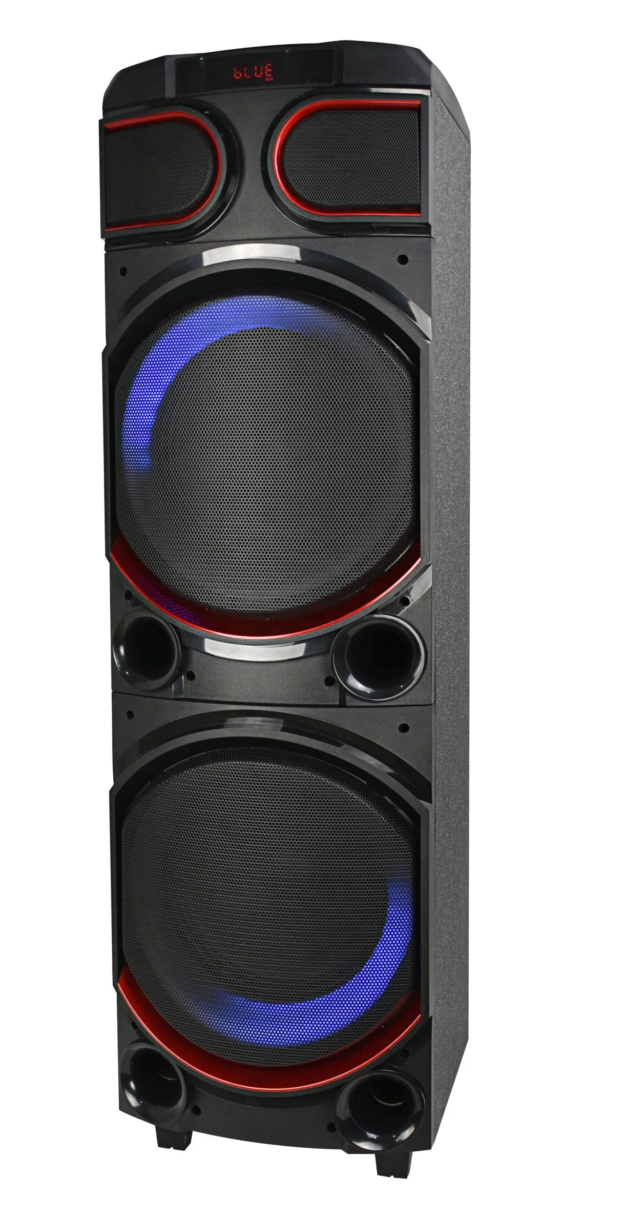 Nuevo doble elemento de 10 pulgadas de gran potencia Bluetooth inalámbrico recargable pa privado Karaoke DJ Gabinete de madera parte de la luz Círculo altavoz con imágenes y fotos202