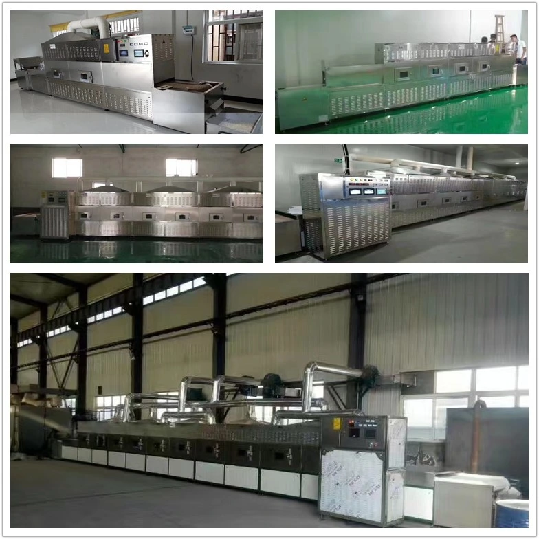 Microwave Leaves Grain Nuts Spice Fruit Dryer Drying Sterilization Equipment