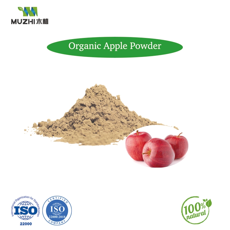 Extracto de manzana orgánica natural en polvo