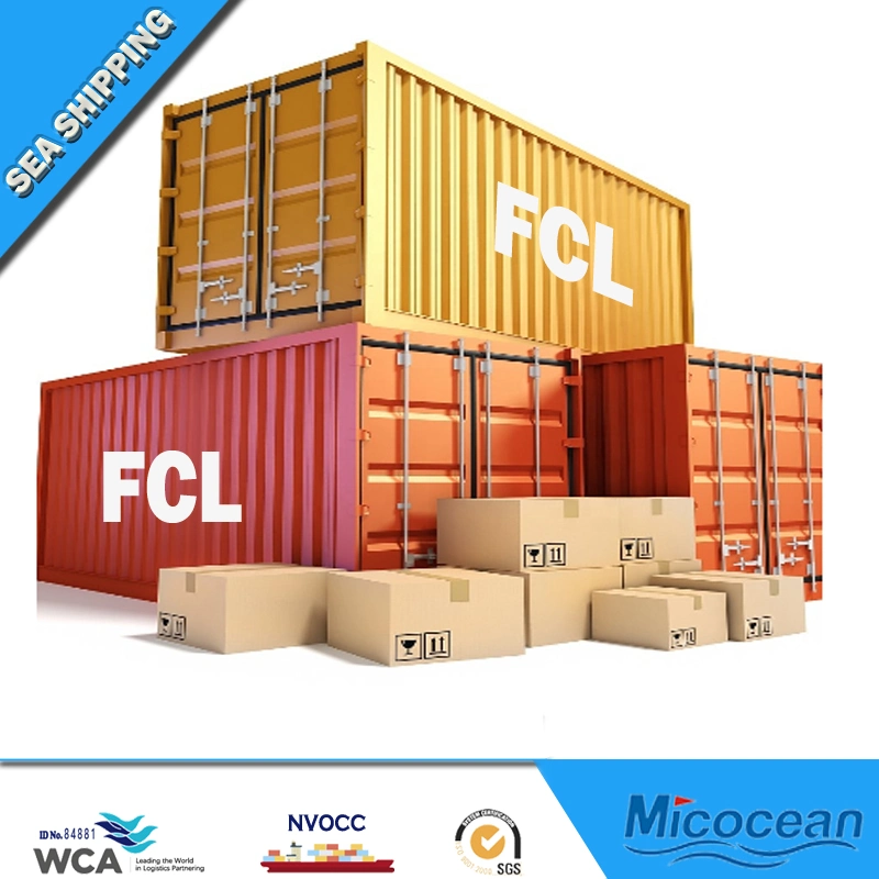 FCL/LCL Cargo Ship Service Spedition Seefracht aus China Weltweit