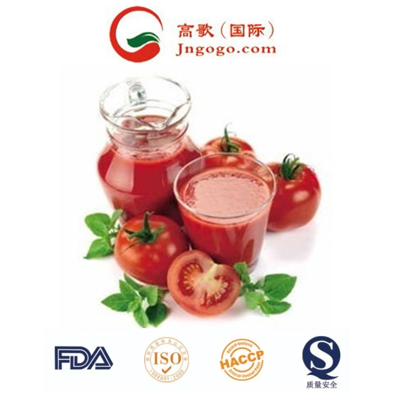 Hochwertige Tomatenpaste für den Export