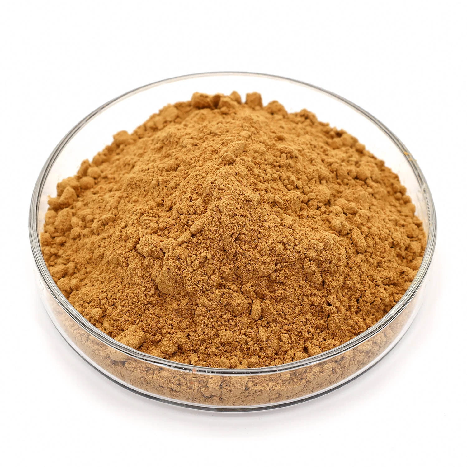 Alfalfa Extract Powder Saponins 5% Alfalfa P. E Medicago Sativa Extract