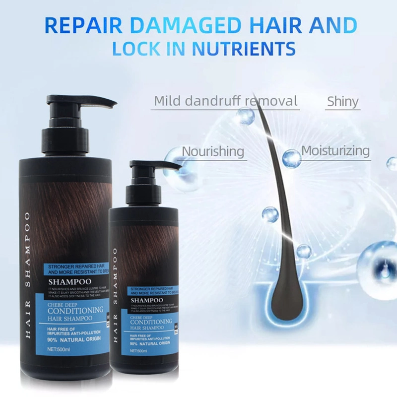 Cosmetics Hair Beauty Care for Moisturizing Cleansing Dandruff Salon Hair Shampoo