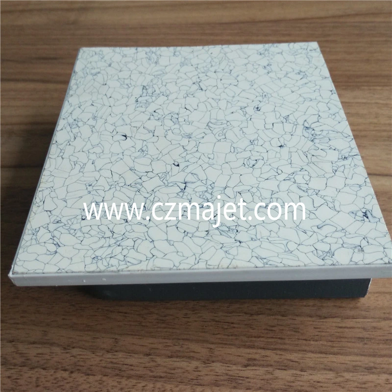 Anti Static Raised Access Flooring Used in Computer Room/Data Center/Communication Center/Laboratory/Micro-Electronics Work Shop