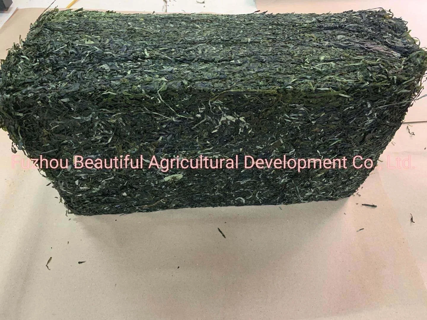 2022 New Arrival High Swelling Dried Sea Tangle Shredded Kelp Seaweed 10kg Package