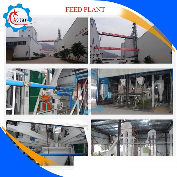 China Complete Animal Poultry Cattle Pet Chicken Cow Goat Horse Food Plant