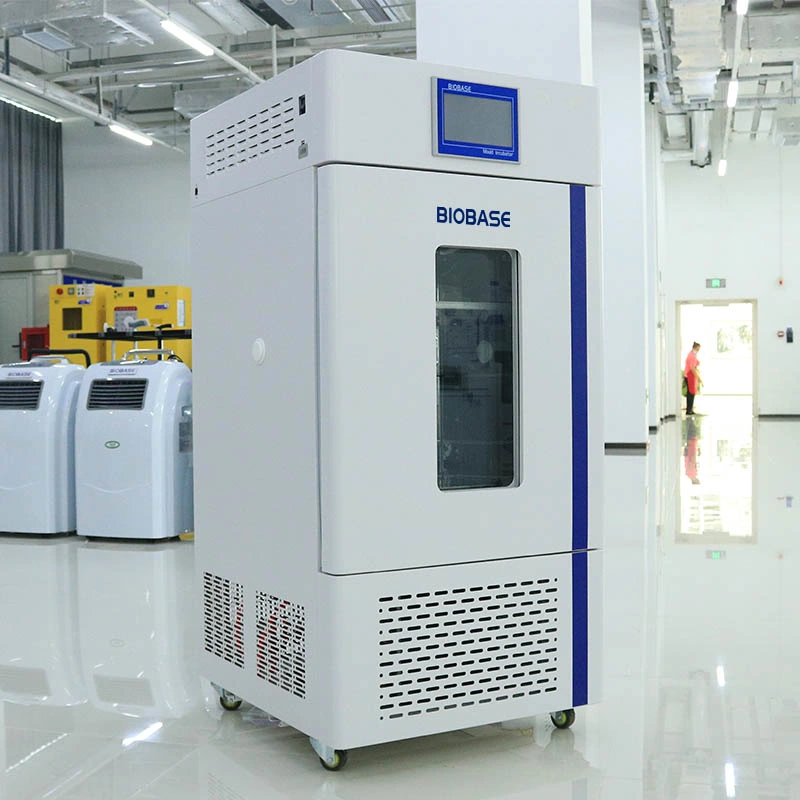 Biobase Cold-Rolled Steel Laboratory Used Mould Incubator