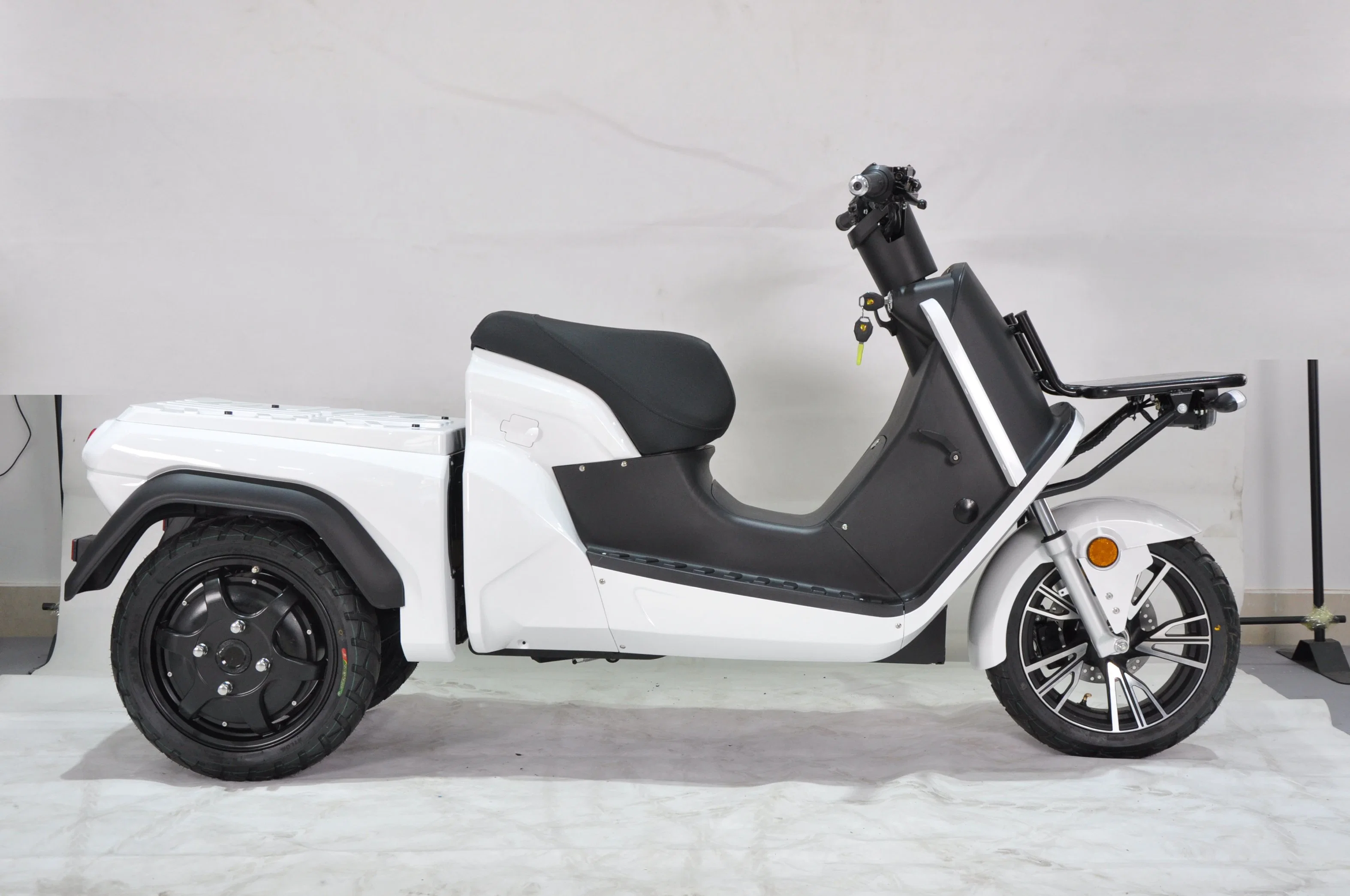 Vente à chaud Trike électrique de livraison tricycle 3 roues 3 Moto-roue avec CEE