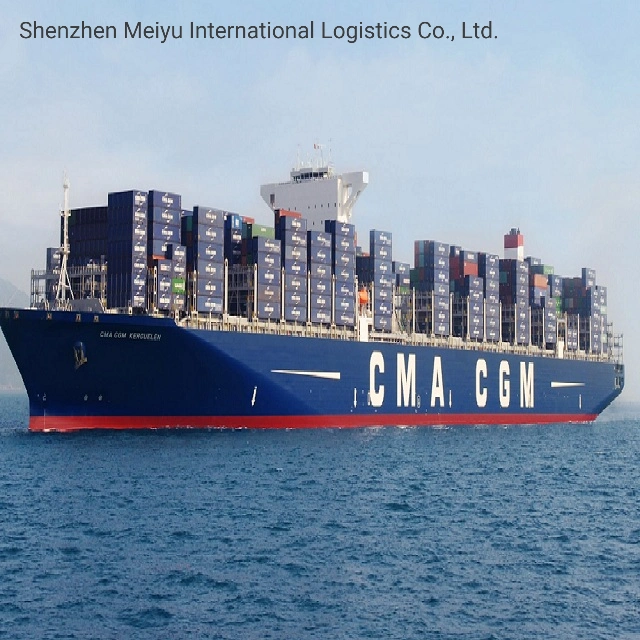 Faster Sea Freight Shipping Forwarder From China to Philippines DDP to Door Service