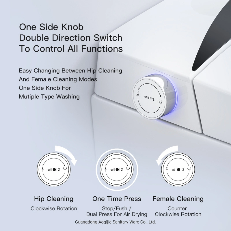 Intelligent Bidet Hanging Automatic Sensor Flushing Smart Toilet