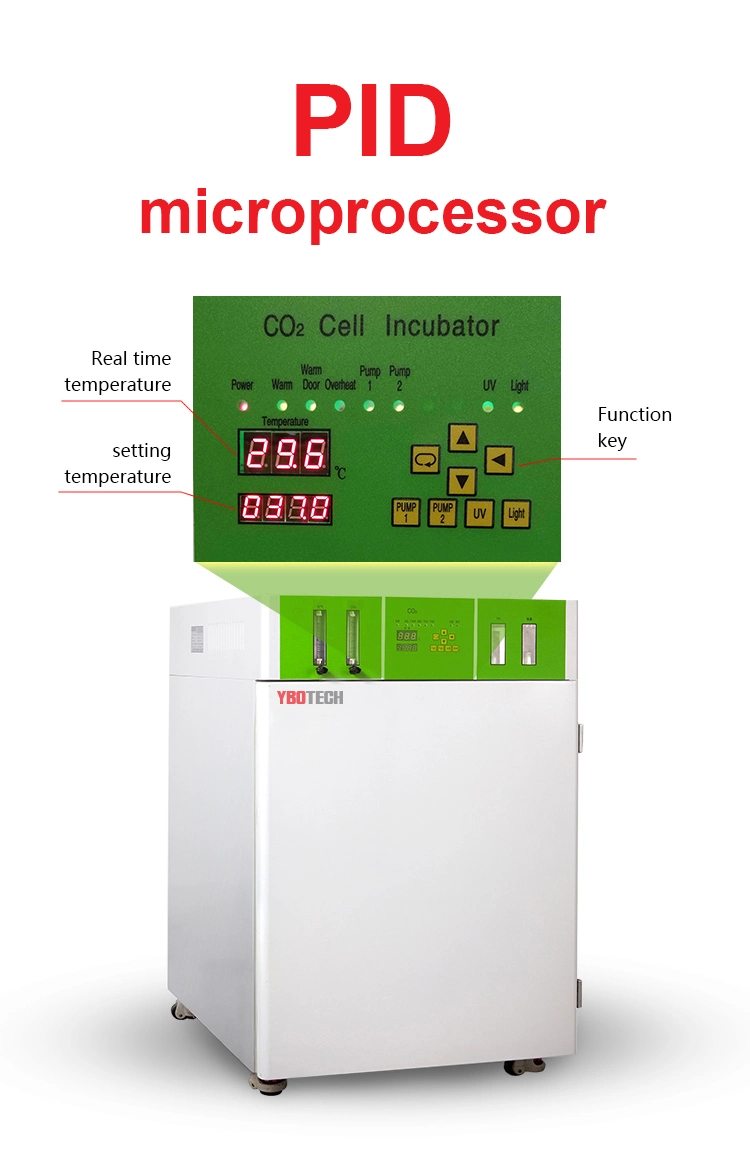 Incubadora Water Jacket CO2 con pantalla táctil para laboratorio