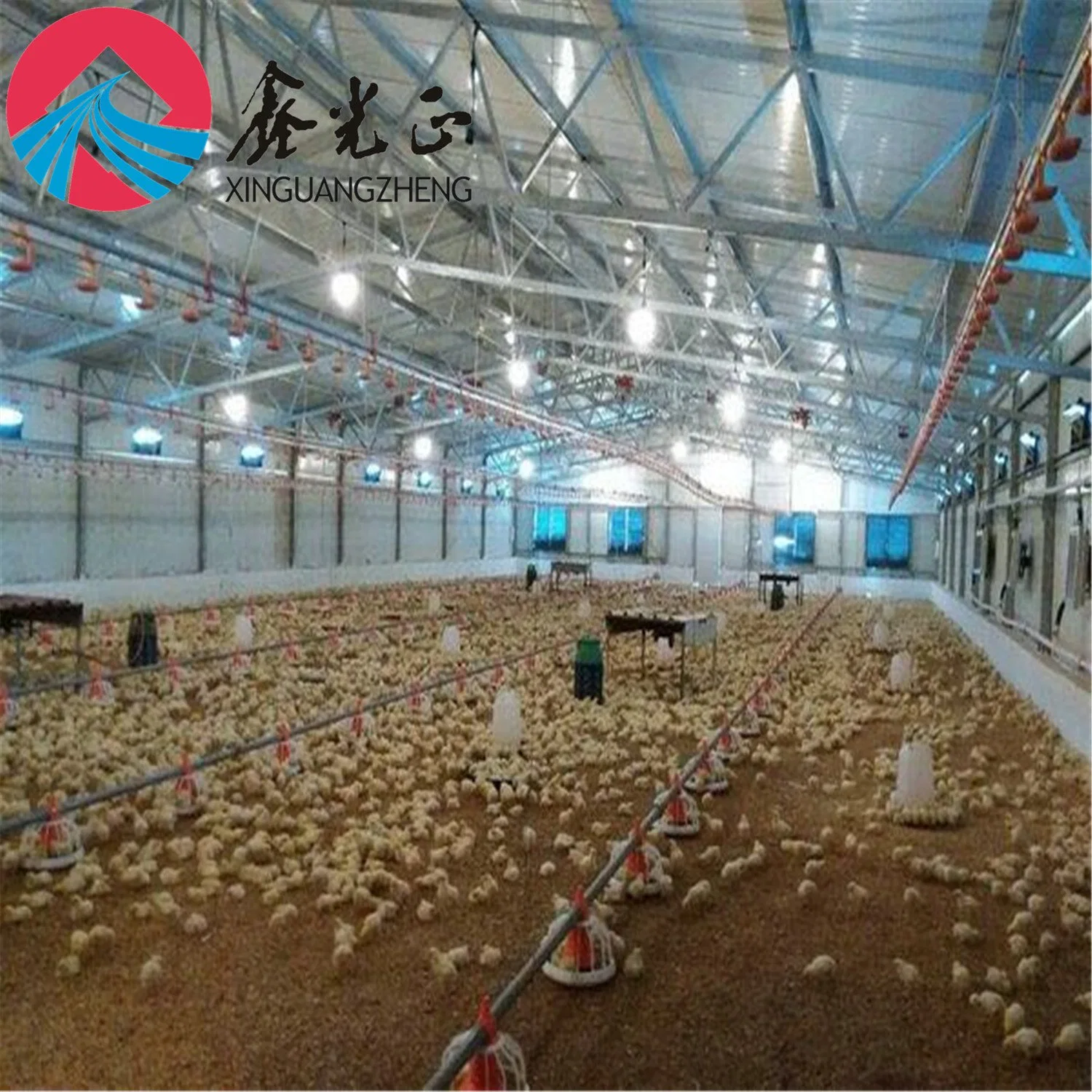 La capa de comercial de huevos de pollo de granja avícola la construcción de casa en venta