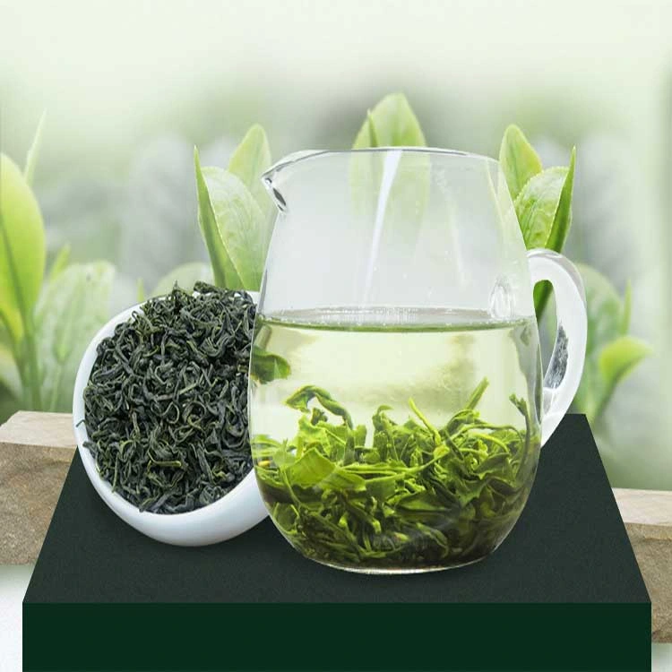 Best Chinese Green Tea Natural Spring Tea Yellow Mountain Maofeng Tea Competitive Price