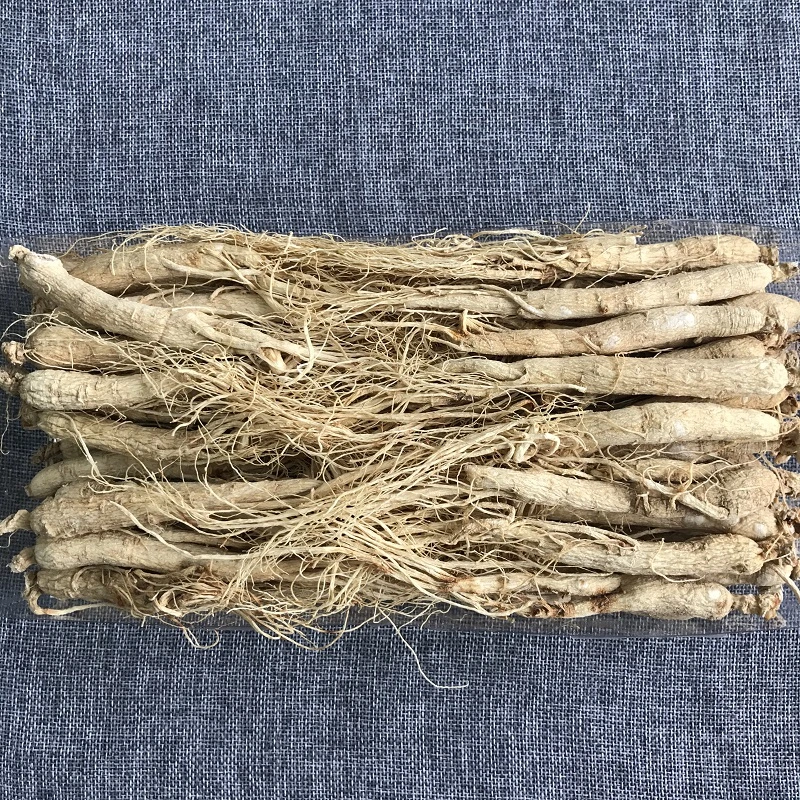 Ren Shen Chinese Herbal Medicine Dried Panax Ginseng Root