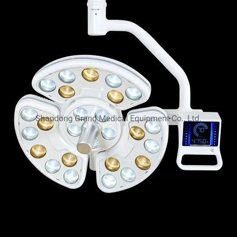 Dental Operatory Lights Suirgical Operating Lamp Shadowless 26 LED Lens Touchscreen Panel Sensor Dental Implant Surgery Lamp