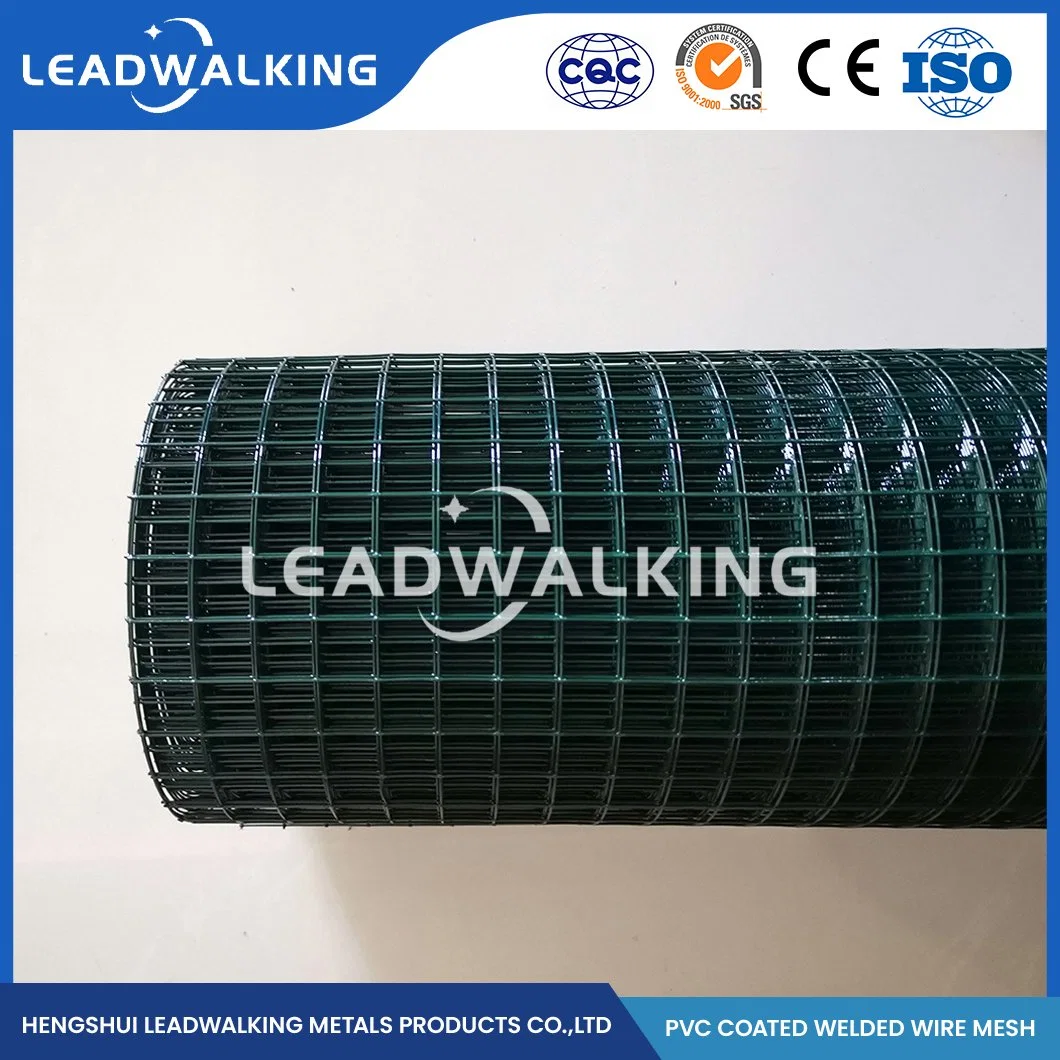 Leadwalking 11 Gauge Galvanized Welded Wire Mesh Suppliers Wholesale/Supplier PVC Welded Wire Mesh China 1/4"X1/4" Inch PVC Coated Dark Green Welded Wire Mesh