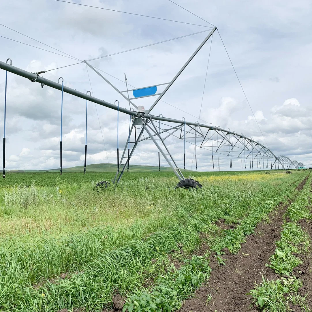 Central Pivot Sprinkler Irrigation Machinery for Large Corn Field