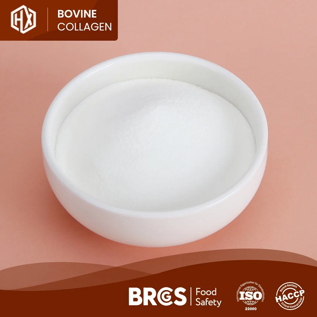 Haoxiang Bovine Hides Collagen Organic Hydrolyzed Animal Peptides Grass Fed Benefits Body Bovine Collagen China Suppliers High-Quality Collagen Powder