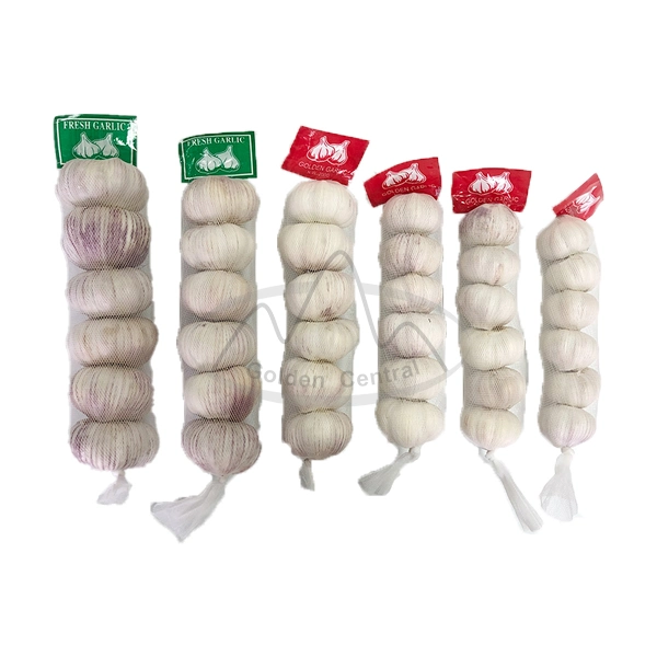 China Factory Supplier Wholesale High Quality Cheap Price of 4.5-6.5cm up Fresh Pure White Garlic Alho Ail in Cartons or Mesh Bags