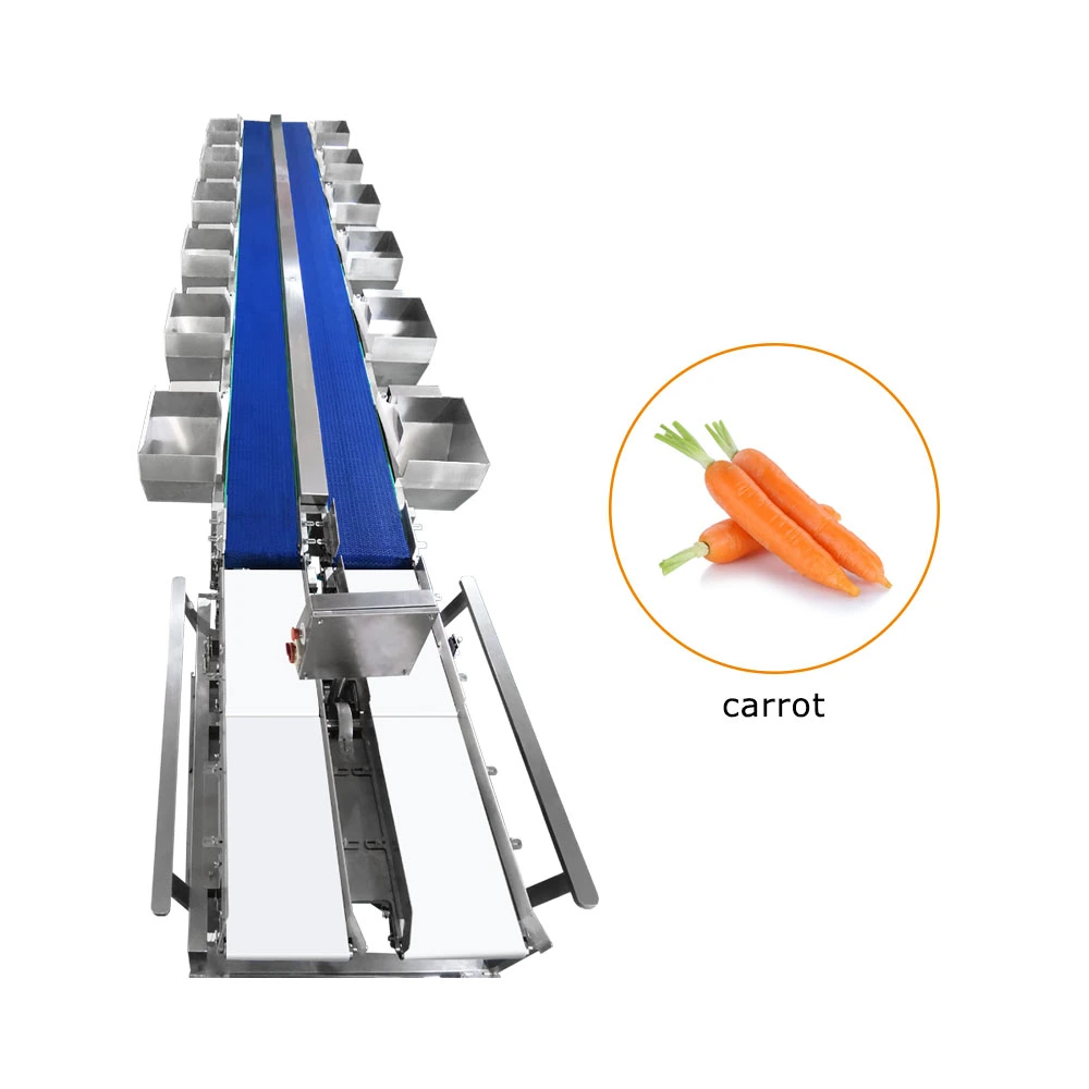 Tt-Wsm-02 Automatic Fruit Sort Machine Auto Industrial Fruits Weight Sorting Line