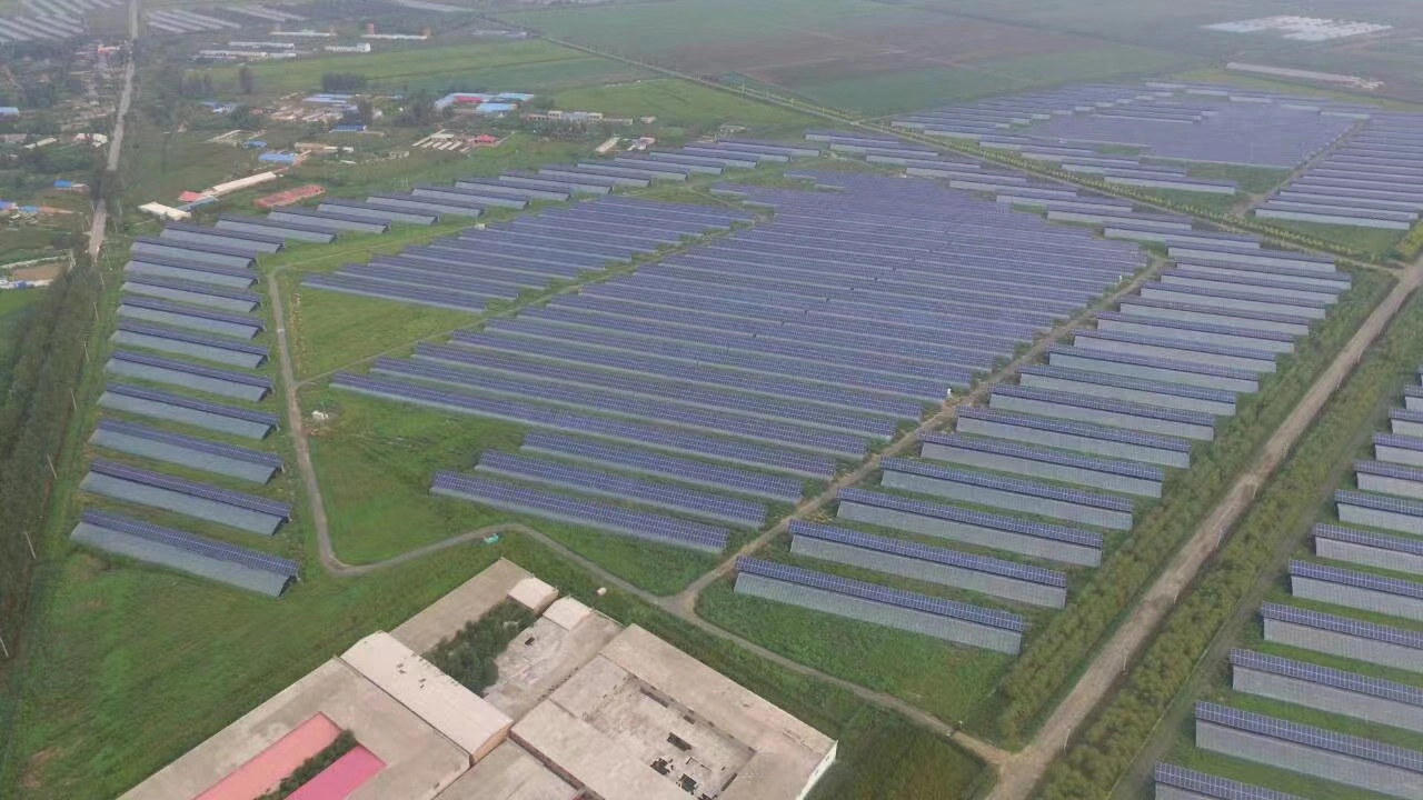 Estufa Fotovoltaica (PVG) / Estufa de Filme Solar Estilo Chinês com Cobertor de Isolamento Térmico