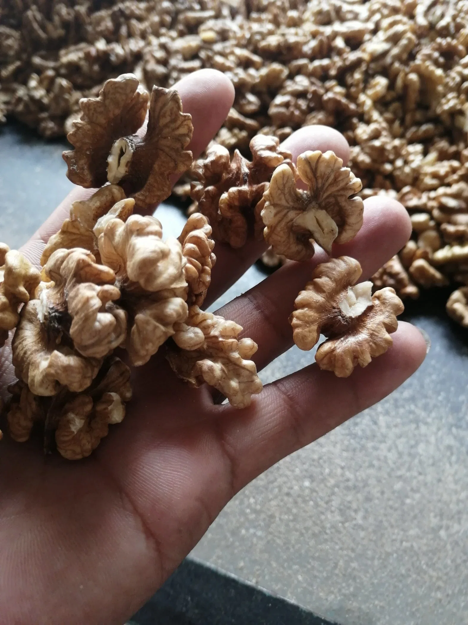 Lowest Price Walnuts Without Shell