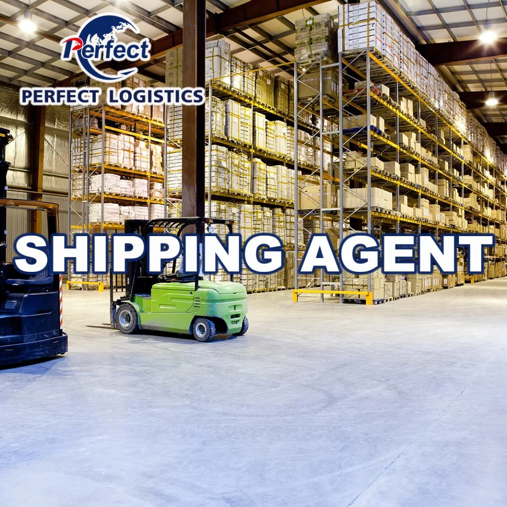 Fast Shipping Shipping Services Luftfracht von China nach Ägypten Ghana, Nigeria, Senegal, Kongo, Dschibuti Algerien Libyen