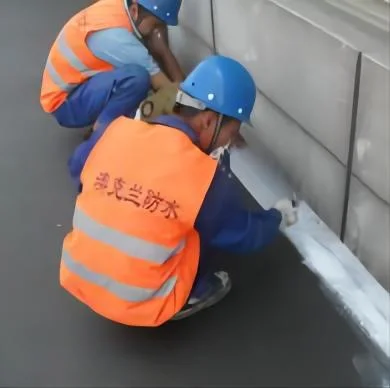 Otai Sr Polymer-Modified Cementitious Waterproof Coating for Building Construction