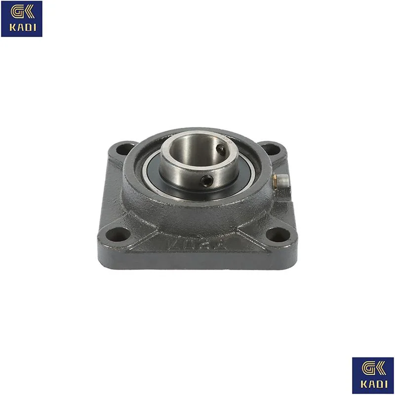 Ucpa213 Made in China Pillow Block Bearing with Housing Insert Bearing