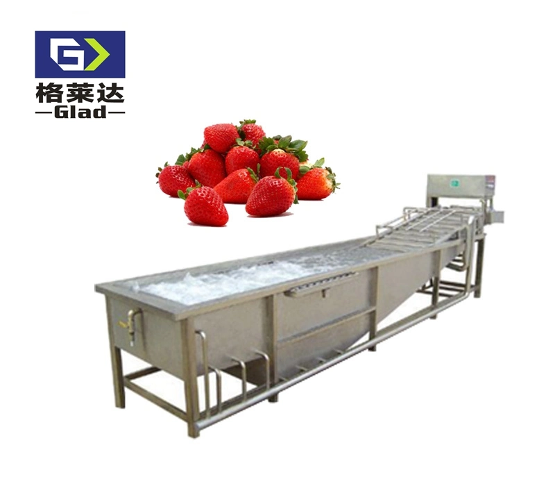 Air-Blowing Type/Bubble Surfing Washing Machine for Fruit and Vegetable Processing Line