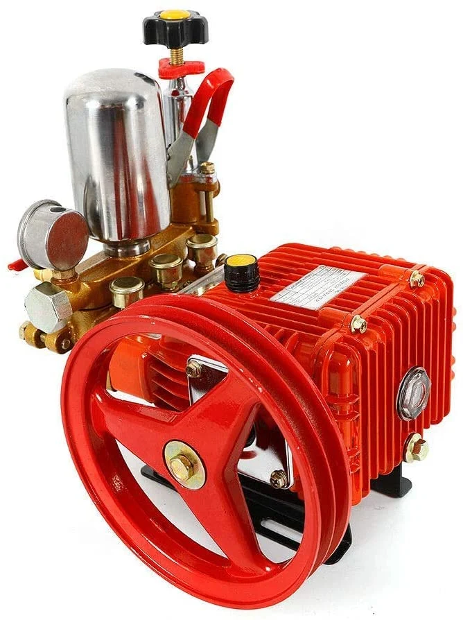 Car Washer Machine High Pressure Copper Gasoline Plunger Pump (PS22H)